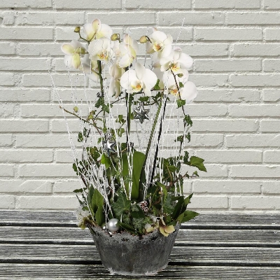 Christmas, flowers, florals, bouquet, decoration, arrangement, gift, luxury, florist, local, seasonal, oasis, harold wood, romford, havering, delivery