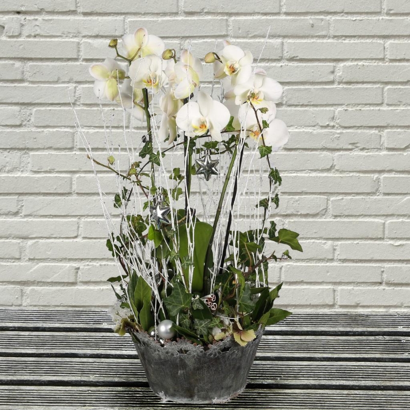 Christmas, flowers, florals, bouquet, decoration, arrangement, gift, luxury, florist, local, seasonal, oasis, harold wood, romford, havering, delivery