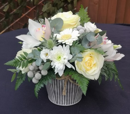 white, flowers, rose, orchid, pot, seasonal, mixed stems, gift, a little something, birthday, sympathy, arrangement in oasis, floris,t harold wood, romford, brentwood, dagenham, delivery,