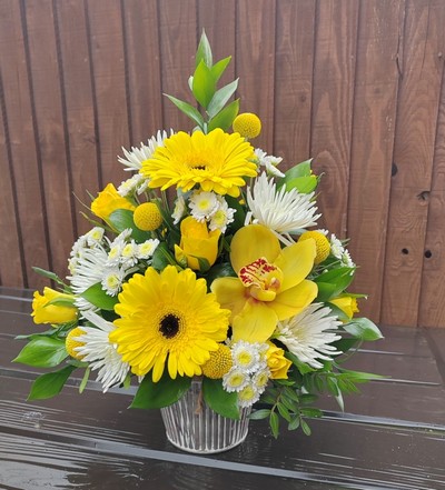 arrangements, florist choice, pot, flowers, gift, florist, harold wood, romford, havering, delivery