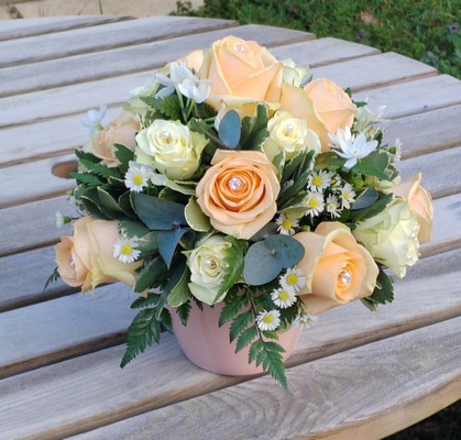 arrangements, florist choice, peach, roses, pot, flowers, gift, florist, harold wood, romford, havering, delivery