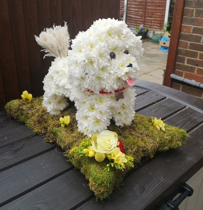 dog, bichon frise, 3D, tribute, funeral, flowers, wreath, oasis, harold wood, romford, havering, delivery