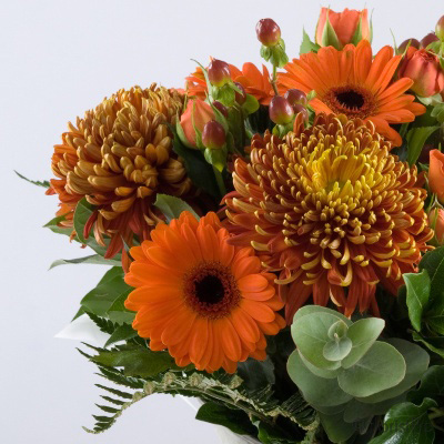 Orange blooms in a rustic jug container