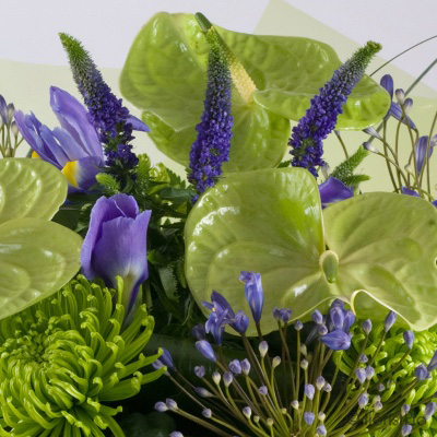 Green and Purple Bouquet in water