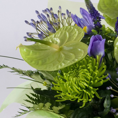 Green and Purple Bouquet in water