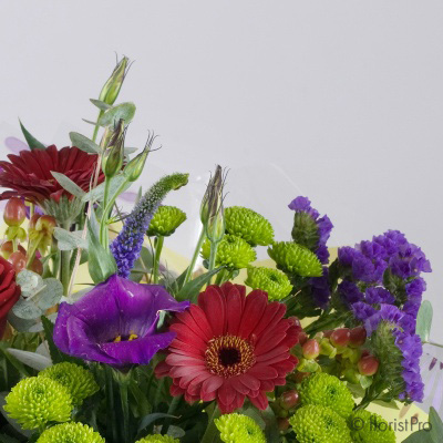 Red Purple and Green Bouquet 