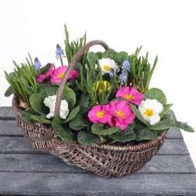 basket, springtime, flowers, oasis, birthday, anniversary, pink, purple, gift, tribute, florist, flowers, harold wood, romford, havering, delivery