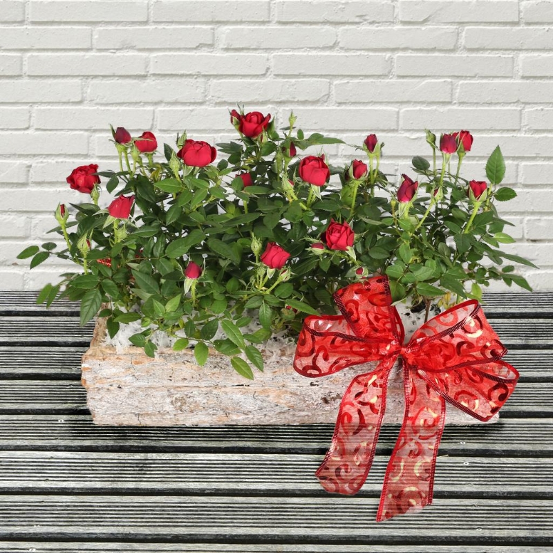 Christmas, flowers, florals, bouquet, decoration, arrangement, gift, luxury, florist, local, seasonal, oasis, harold wood, romford, havering, delivery