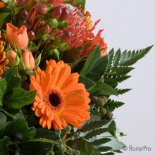 Orange blooms in a rustic jug container