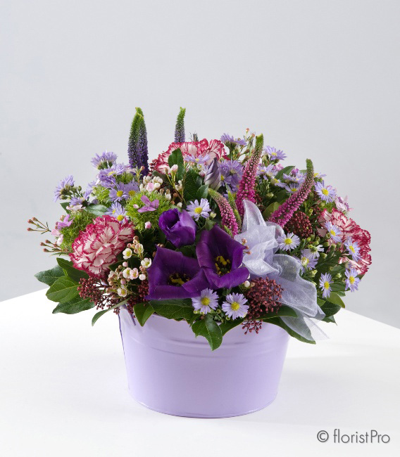 Purple Pot Arrangement