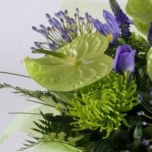 Green and Purple Bouquet in water