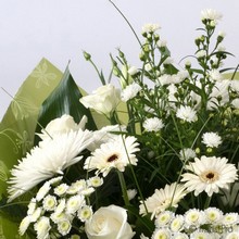 Pure white bouquet in aqua pack gift bag or box