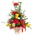 Christmas flowers pot arrangement gift 