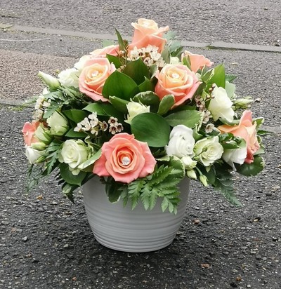 arrangements, florist choice, peach, roses, pot, flowers, gift, florist, harold wood, romford, havering, delivery