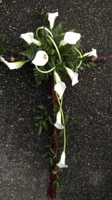 Zantedeschia Cross