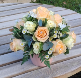 arrangements, florist choice, peach, roses, pot, flowers, gift, florist, harold wood, romford, havering, delivery