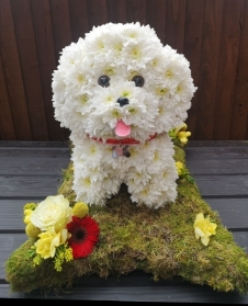 dog, bichon frise, 3D, tribute, funeral, flowers, wreath, oasis, harold wood, romford, havering, delivery