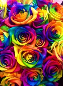 Rainbow Rose Bouquet
